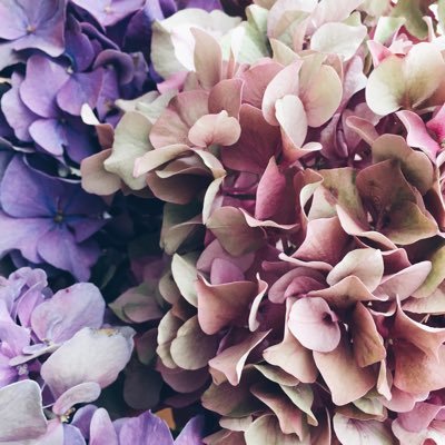 CbtwBnD's profile picture. TOHOSHINKI are YUNHO and CHANGMIN | Bigeast & Cassiopeia | 🔰Shawol