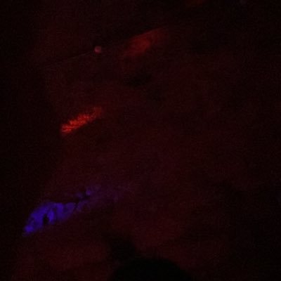 Clement_lgn's profile picture. 