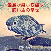 SZNMstyle（サザナミスタイル）(@SZNMstyle) 's Twitter Profile Photo