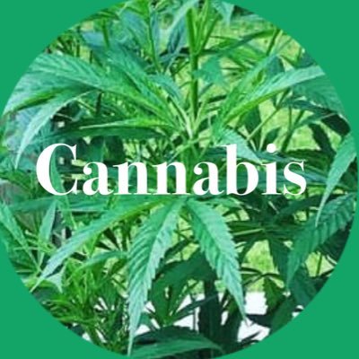 大麻 カナビス Cannabis (@kisekino_kusa) / X