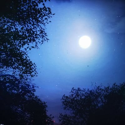 2bitname2's profile picture. 