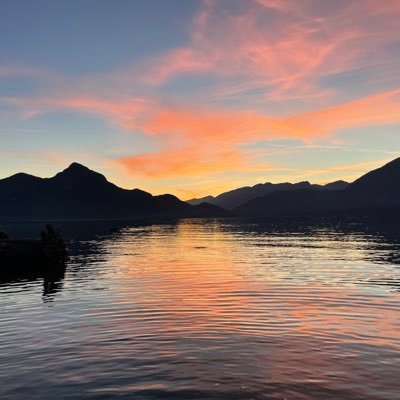 MariaD46502191's profile picture. 