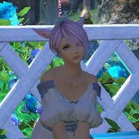 さくら＠shinryu (@sakura_charm_s) Twitter profile photo
