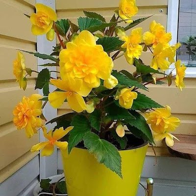 HeinrichGodwin's profile picture. 