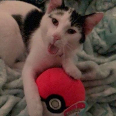 Guadalu80924858's profile picture. Hi humans from earth😍✌🏽👨🏻‍🦲