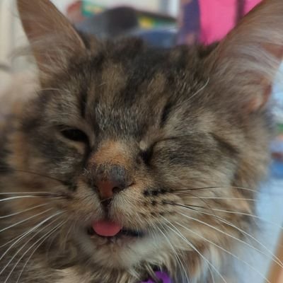 gustheblepboy Profile Picture