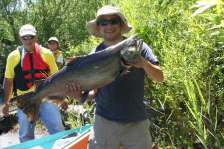 cojedac's profile picture. 