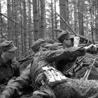 FHF (@fhf_reenactment) 's Twitter Profile