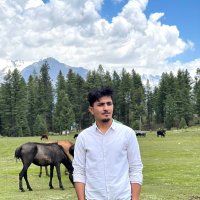 Zain khan (@dralfie_solomon) 's Twitter Profile