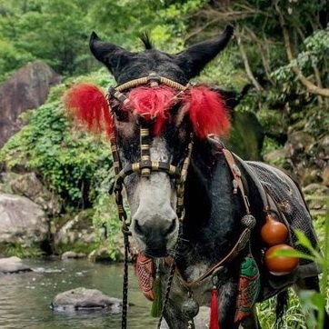 AtpritamSk's profile picture. 中国ドラマ沼に落ちたのは永遠の桃花。ファンタジーも古装劇も好き。陳情令大好き❤️鎮魂最高✨でも山河令も最高✨華流の歌も好きです。たまに韓国ドラマも見ます。よろしくお願いします✨