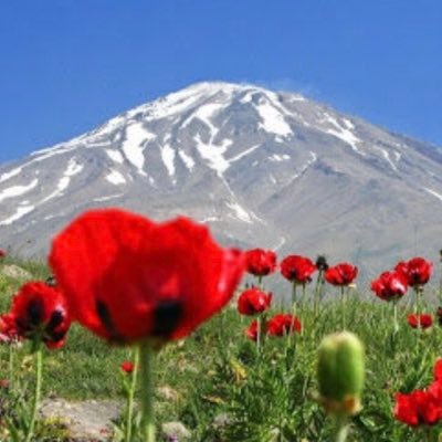 aswadreturns's profile picture. Another world is possible❣ #refugeeswelcome #DEAL , Member of Doughnut Economic Action Lab 🍩