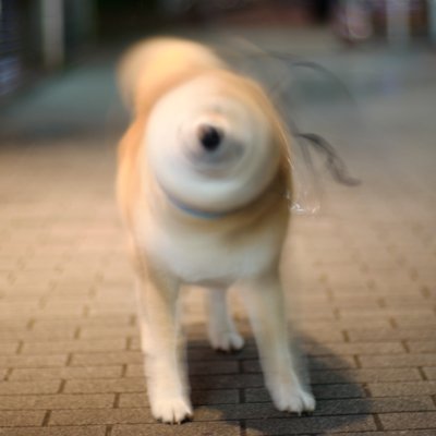 aSdUqO2DQ2g9fWs's profile picture. 愛媛住みのなんちゃって貧脚ローディーです。俗に言うペーパーローディーですよろしくお願いします🚴ゆるポタ大好きです☺️
#ロードバイク#サイクリング