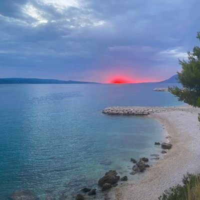 ProexTidex's profile picture. I am here to learn.