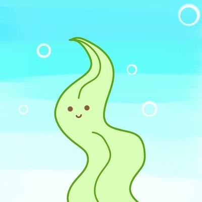 茎わかめさんのプロフィール画像