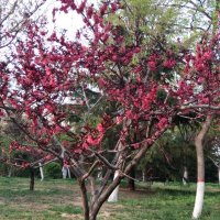 csdv🌘❤️ Memecoin (@csdv65466085) 's Twitter Profile