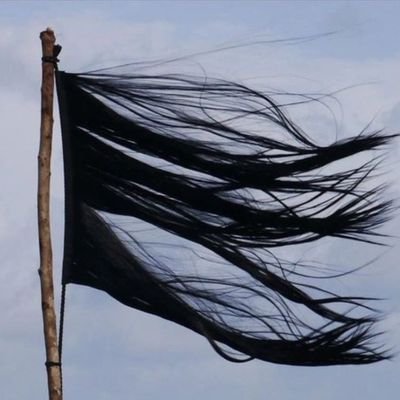 ELfilik's profile picture. 🍀|Anti-(tir e)Faşist|,|lı dijî faşîstanim|. kurd û Luvi