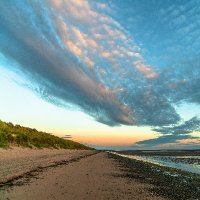 Our Dee Estuary(@ourdeeestuary) 's Twitter Profile Photo