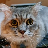 benny (@bennywola) 's Twitter Profile Photo benny (@bennywola) 's Twitter Profile Photo