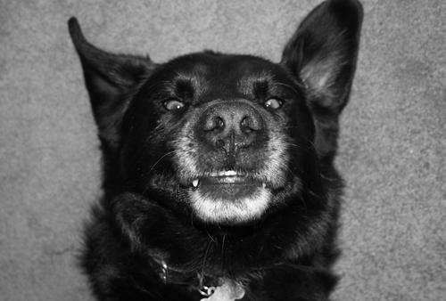 dotjub's profile picture. 