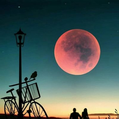 کوه باش و دل نبند....
مدرس و مترجم زبان فرانسه
لینک توییتهام👈
https://t.co/2V8JVOt40V