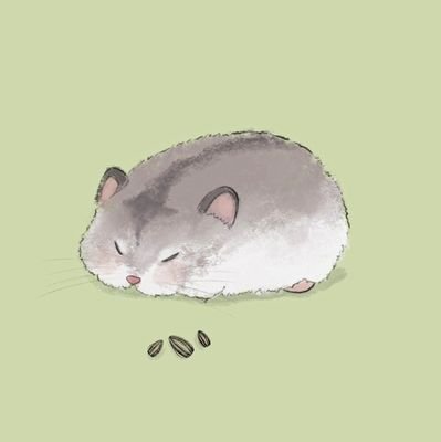 葵花籽さんのプロフィール画像