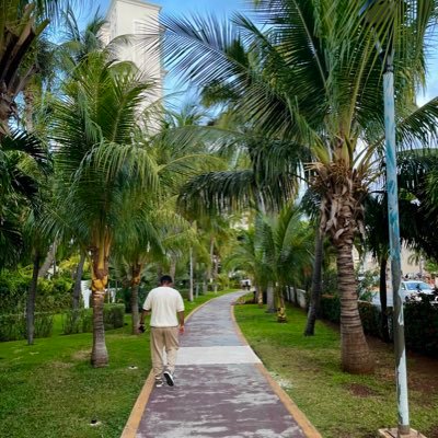 CryptoIT99's profile picture. 