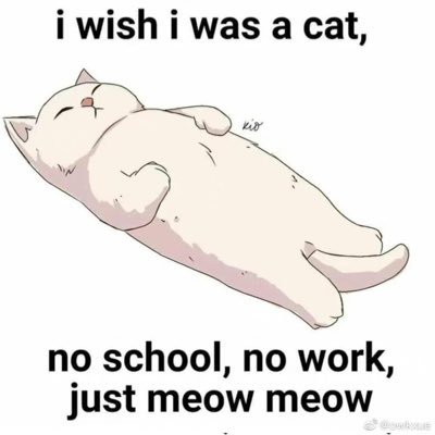 ChikaWong4's profile picture. fuck all that nostalgia