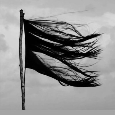 shimmmzz's profile picture. kurd🌵