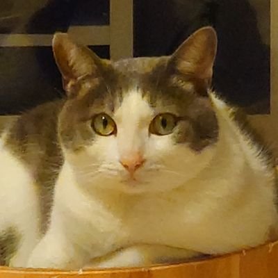 neoyasume's profile picture. ジェニーハイ新規でアイナ、ハシヤスメ寄りの箱推し🧗無言フォロー失礼します🙏解散してもBiSH‼️ExWHYZmayuちゃん推し⚾野球も好き🐲🐲🐲