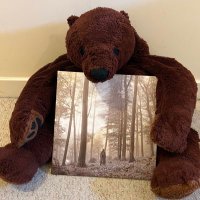 Djungelskog Holding Vinyl (@djungelvinyl) Twitter profile photo