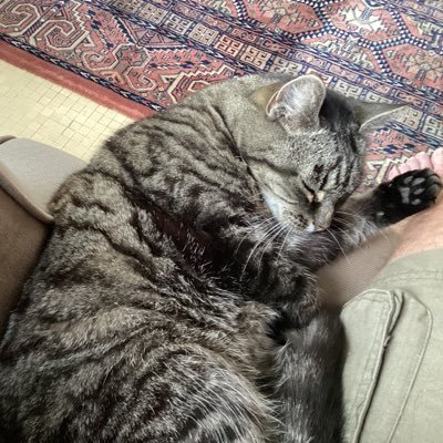 CkelManne's profile picture. 