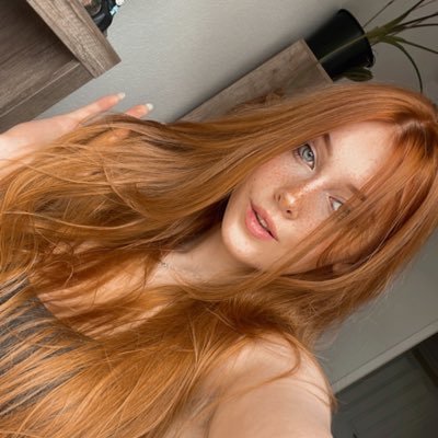 KDRkitten Profile