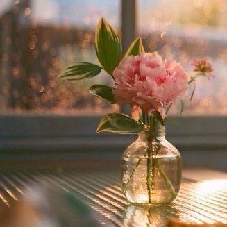 @075Mira