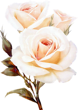 msk_shirajkhan's profile picture. 