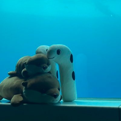 匡兎さんのプロフィール画像