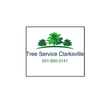 Clarksville TN Tree Service offers the best in local tree services Clarksville TN, and its surrounding communities. We take care of all your tree service needs.