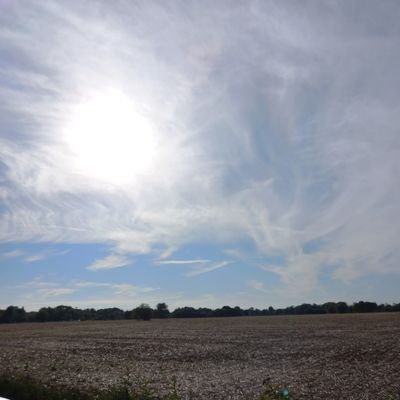 17Mymylafolle's profile picture. 