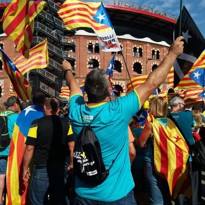 bravo08240's profile picture. 