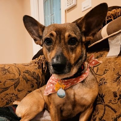 bradley_marema's profile picture. Veterinary Technician.. Dedicated my life to the health and welfare to the Animal Kingdom..