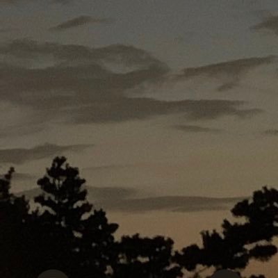 avalon_x_jp's profile picture. 