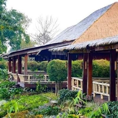 antku79's profile picture. 