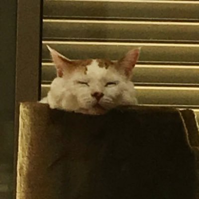 RESUさんのプロフィール画像