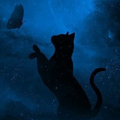 As peacefull as blue🌊💙💎
ENTJ
For IRAN 🇮🇷
For FREEDOM 🕊
For MY FAMILY AND MY PEOPLE 🫂
AND FOR #MAHSAAMINI ✨