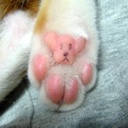 Park Sun yong - @AsurA75 - Twitter