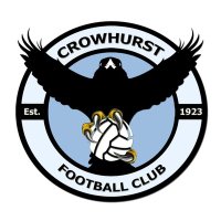 Crowhurst FC 2s (@crowhurstfc2s) 's Twitter Profile
