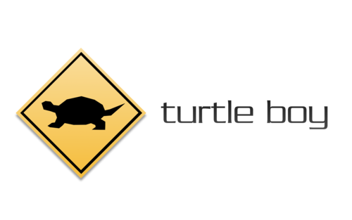 Karens, Turtleboy, and the TurtleSnipe: How a Twitter War Sparked a Racial Rep excellence Acid Test