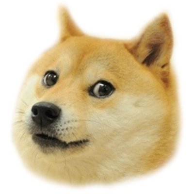 altsh1ft's profile picture. One letter is superfluous 🐽