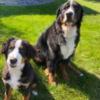 Jon Zang (@jhze5ss) 's Twitter Profile Photo