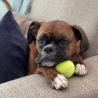 MisterWeaz's profile picture. 