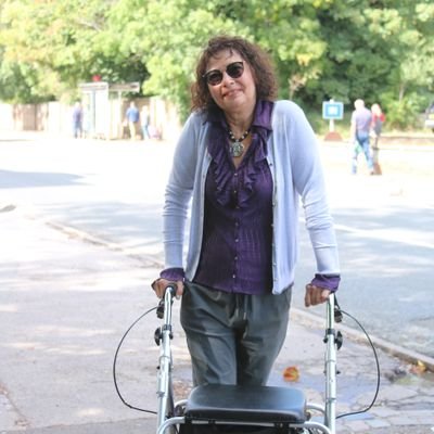 Anglo-Parsi. Salisbury City Councillor. Proud of my differences. Neurodivergent. Not afraid of holding feet to fire to support ALL residents. Also a writer
